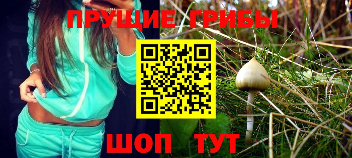 Галлюциногенные грибы Psilocybe  Псилоцибиновые грибы Psilocybe  Коркино  Вход с VPN 