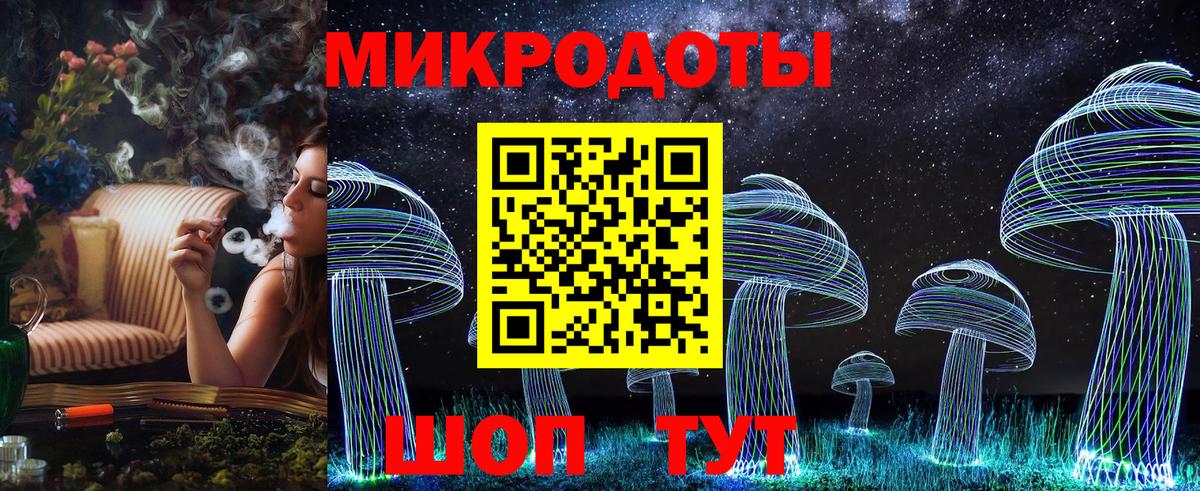 Псилоцибиновые грибы Psilocybine cubensis Коркино